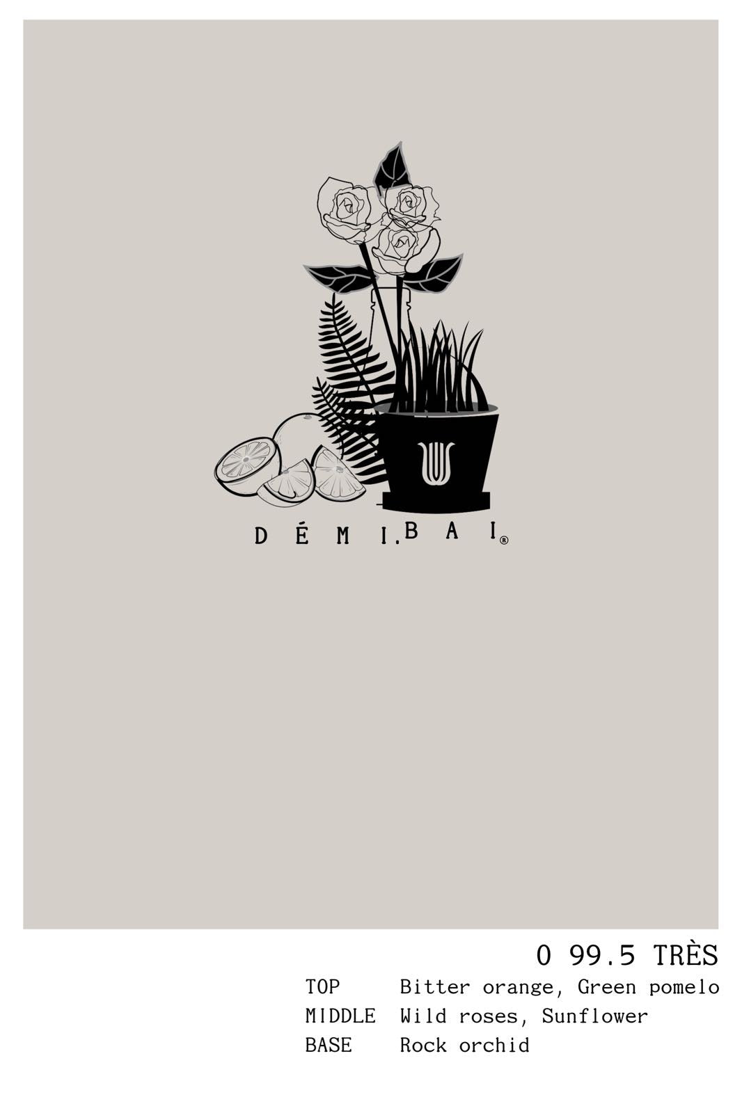 Face and Body Soap - DÉMI.BAI