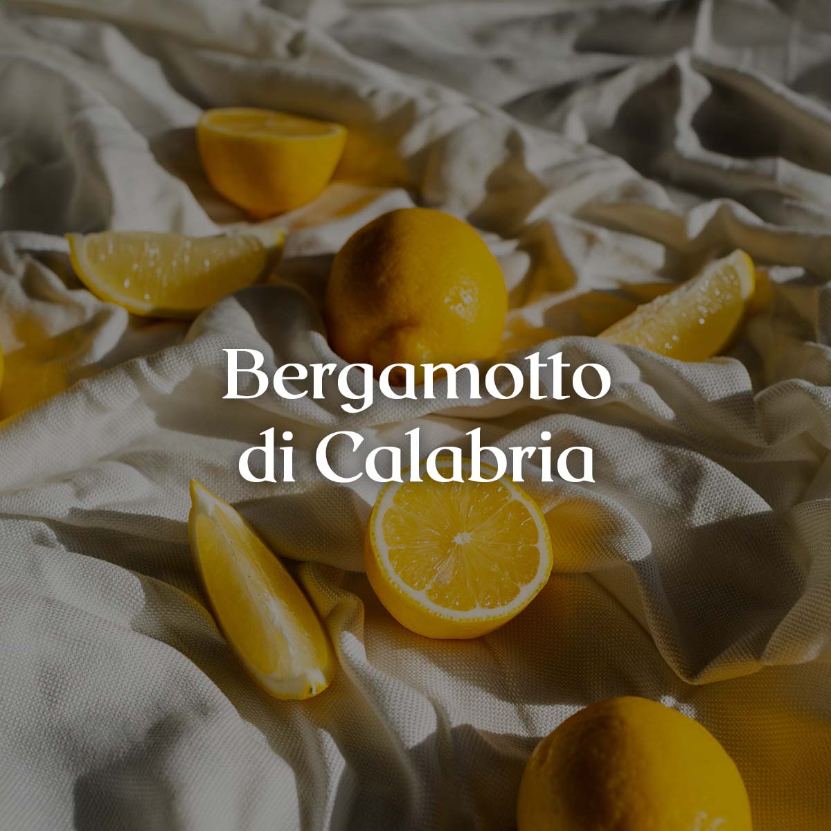 Bergamotto di Calabria Hand & Body Wash - Cereria Molla