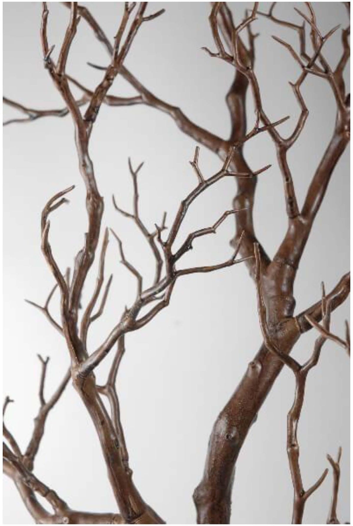 Velvet Wood Reed Diffuser - Cereria Molla