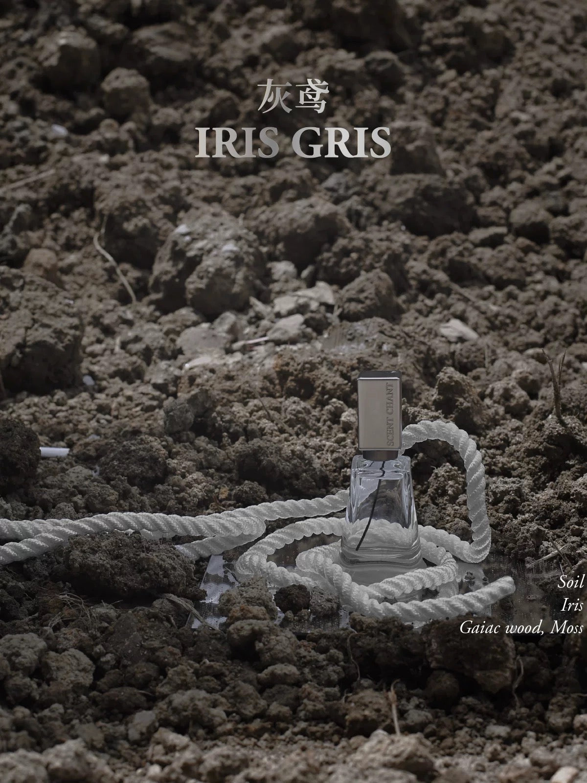 Iris Gris Perfume- Scent Chant