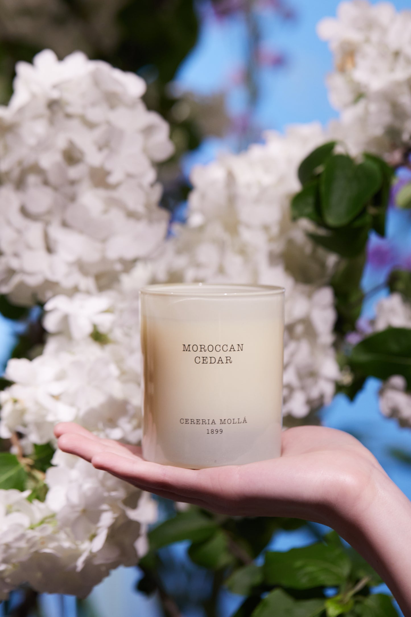 Morrocan Cedar Candle - Cereria Molla