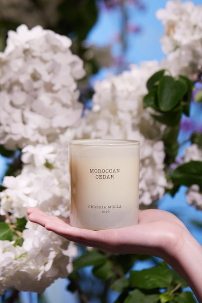 Morrocan Cedar Candle - Cereria Molla