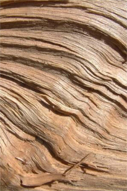 Tea & Lemongrass Reed Diffuser - Cereria Molla