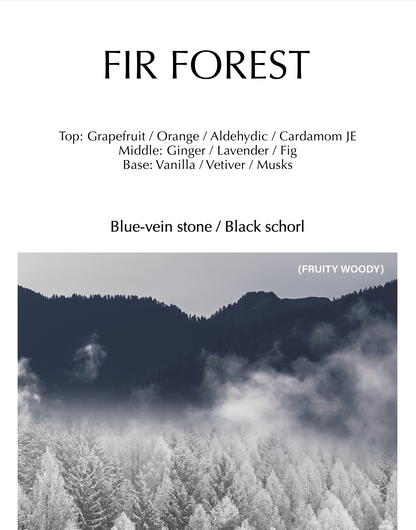 Fir Forest Crystal Pot Diffuser - LAVAS