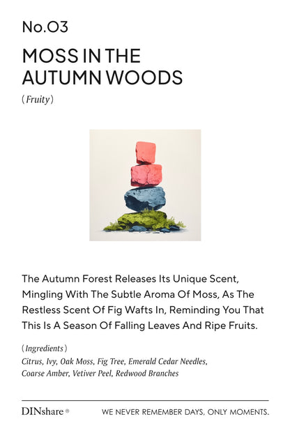 03 Moss in the Autumn Woods Fragrance Diffuser - DINshare 黑地