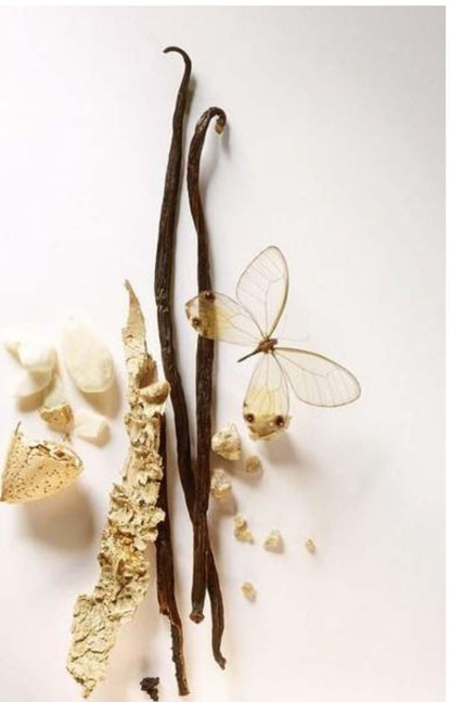 Velvet Wood Reed Diffuser - Cereria Molla