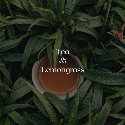 Tea & Lemongrass Reed Diffuser - Cereria Molla